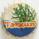 Tarxun