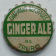 Chapmans_ginger_ale