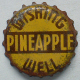 Wishing_Well_pineapple