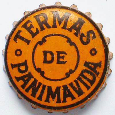 Termas De Panimavida orange
