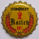 KalichLitomericky