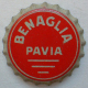 Benaglia_5