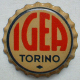 Igea_Torino_2