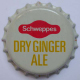 Schweppes Dry Ginger Ale