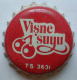 Visne Suyu